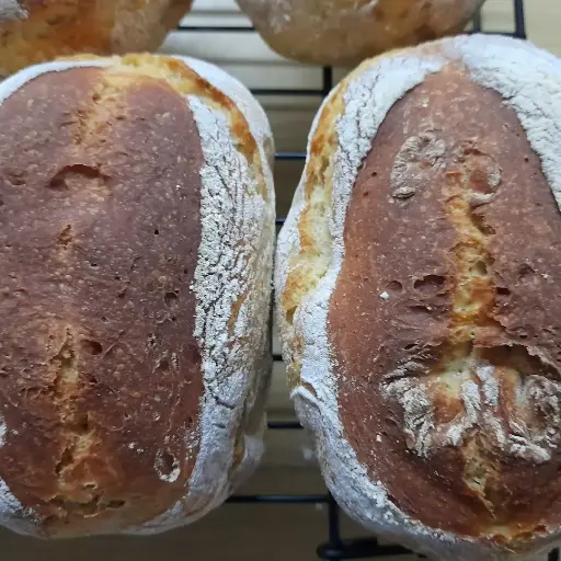 [T4F-BRE-SAV-PPA] Petits Pains Provençal Savoury